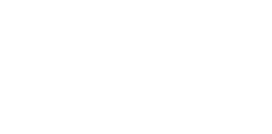 Logo Volk do Brasil